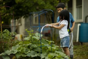 20 Beginner’s Gardening Guide: Start Your Dream Garden Today