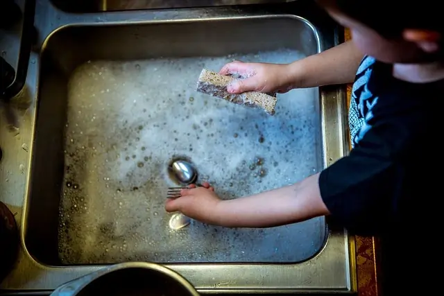 Care of kitchen Sinks 