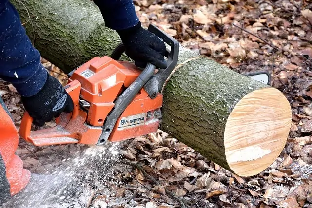 Cutting and Preparing the Wood