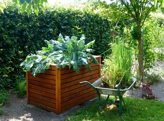 Affordable and simple DIY raised garden bed solutions for your garden